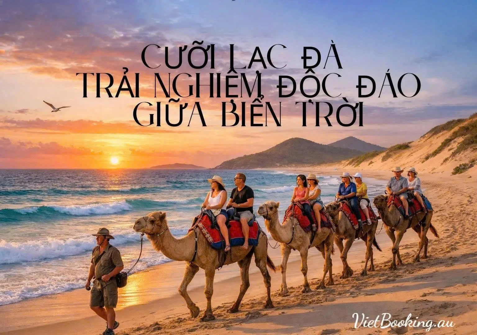 Trải Nghiệm Cưỡi Lạc Đà tại Vịnh Nelson Bay