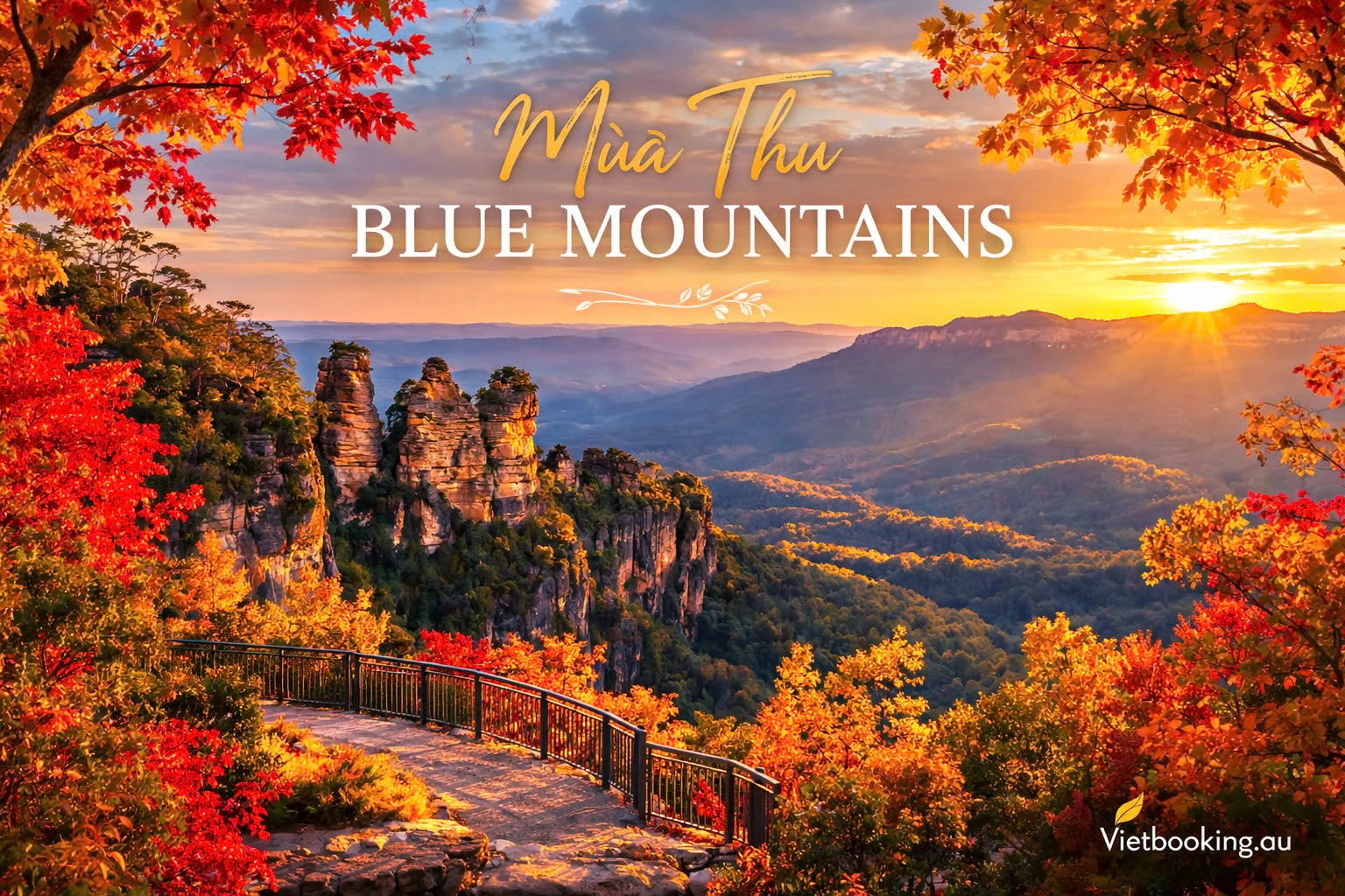 Mùa Thu Ở Blue Mountains – Bức Tranh Thiên Nhiên Đầy Màu Sắc Của Nước Úc