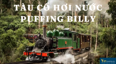 Dấu ấn Dandenong - Tàu cổ hơi nước Puffing Billy