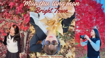 Mùa thu ở Bright – Nơi những chiếc lá biết kể chuyện
