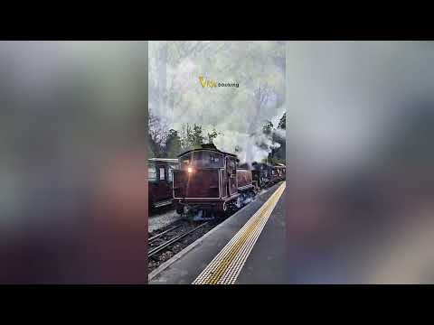 4 seasons love in Australia - Yêu 4 mùa nước Úc