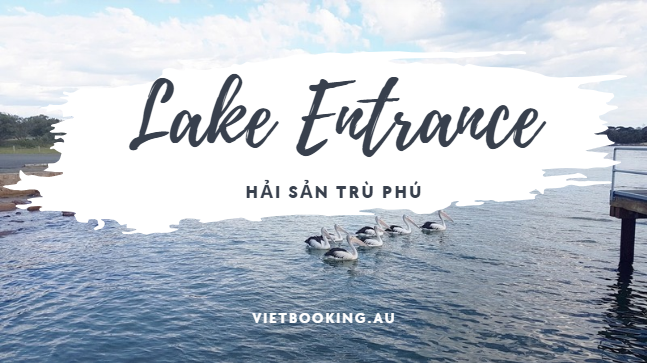 240924-171650.png (297 KB)