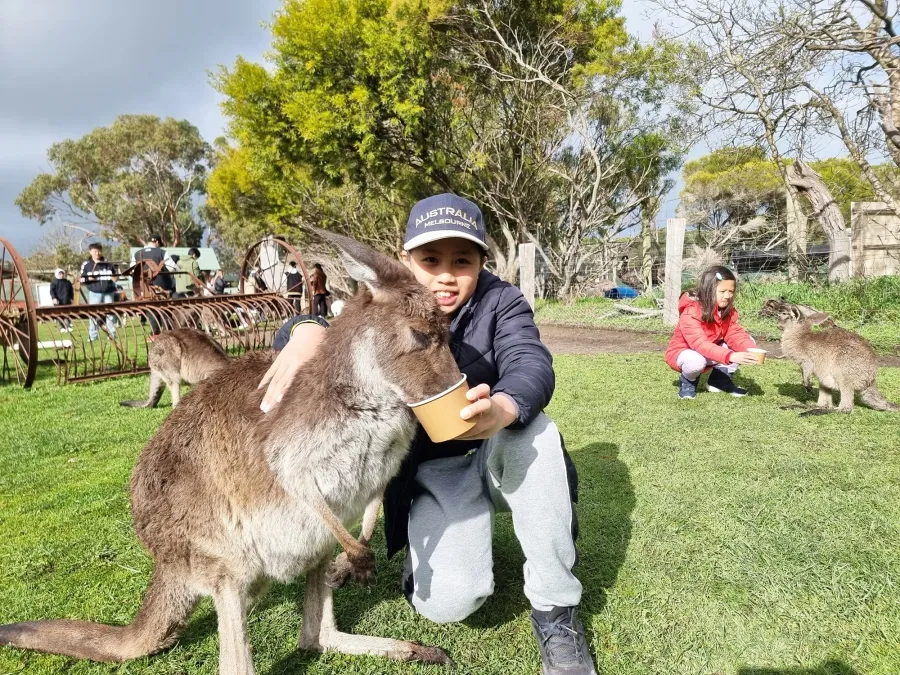 240922-170334.png (202 KB)