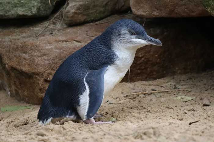 240922-170703.png (621 KB)