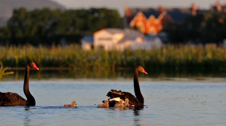 240930-135333.png (415 KB)