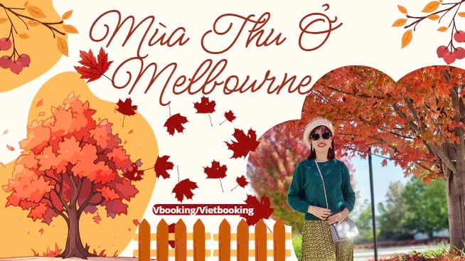 mua-thu-o-melbourne-654x367.webp (111 KB)