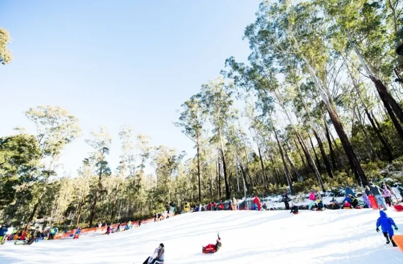 250526-172758-788x516.webp (77 KB)