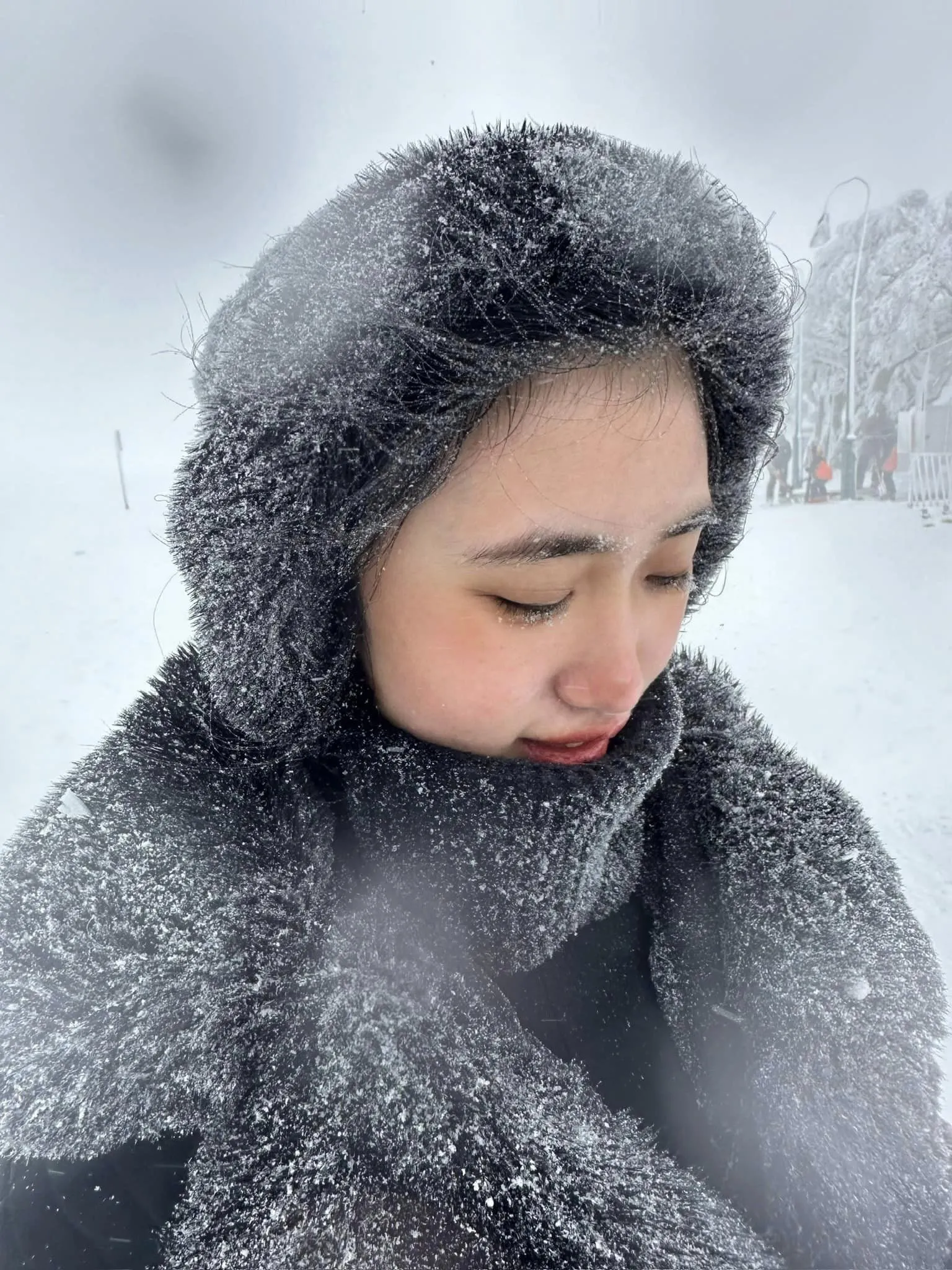 453596944_1496293431030641_3029086450060766786_n-1536x2048.webp (433 KB)