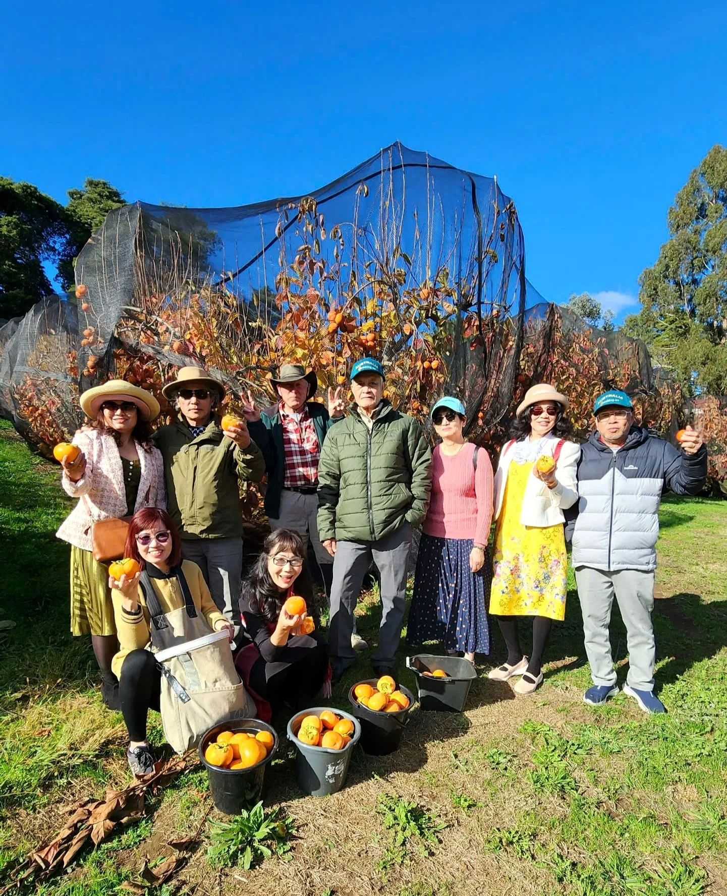 7ce36d3b1343a71dfe52470-1441x1777.webp (561 KB)