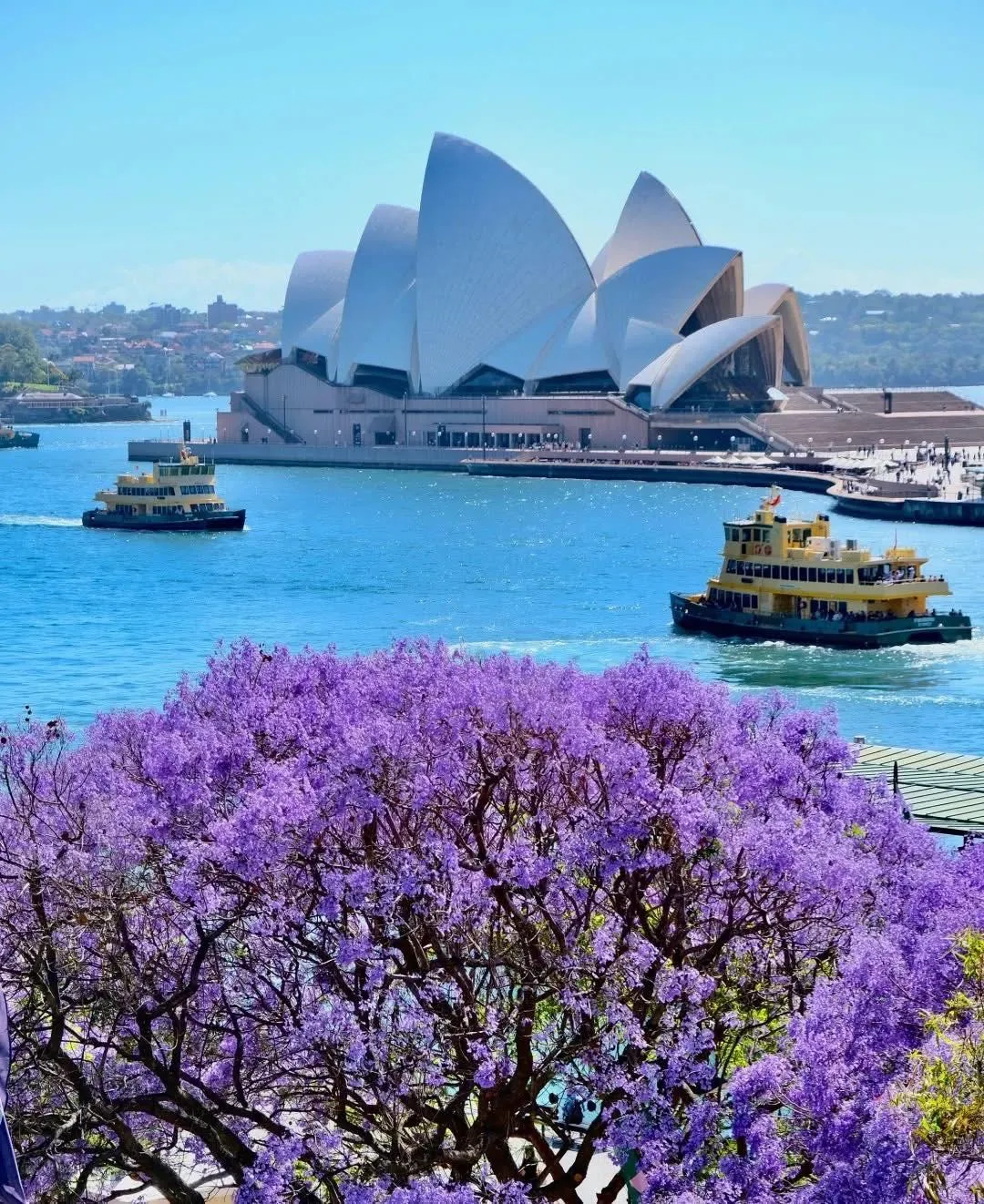 571548483_1263159869181608_1575343271341834484_n-1080x1322.webp (320 KB)