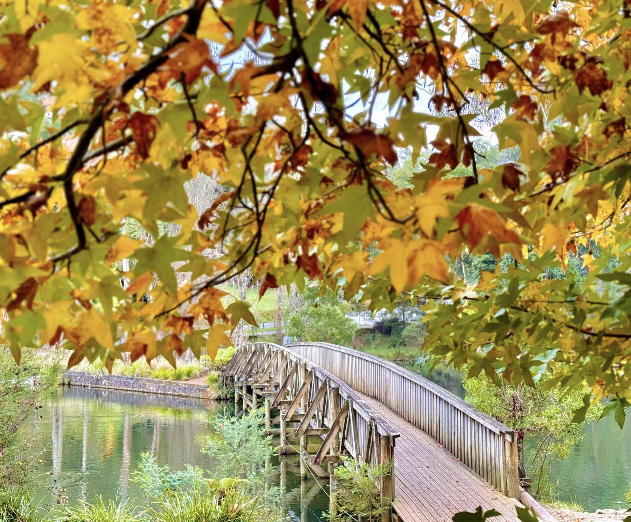 442492628_863046775862415_3674342630092392494_n-2048x1696.webp (1.21 MB)