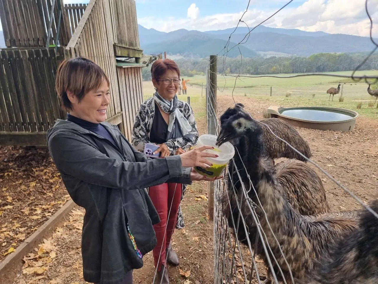 494423185_122175948692320010_8540369134572089566_n-1280x960.webp (247 KB)