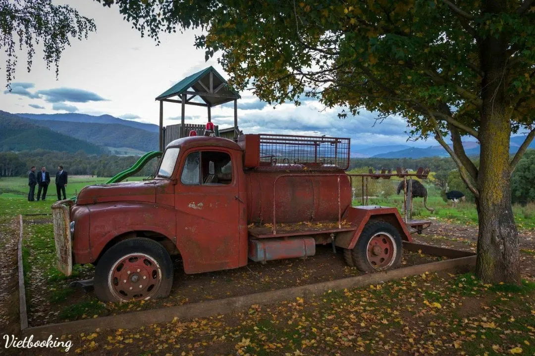 51976813959027ce7e81-1080x720.webp (163 KB)