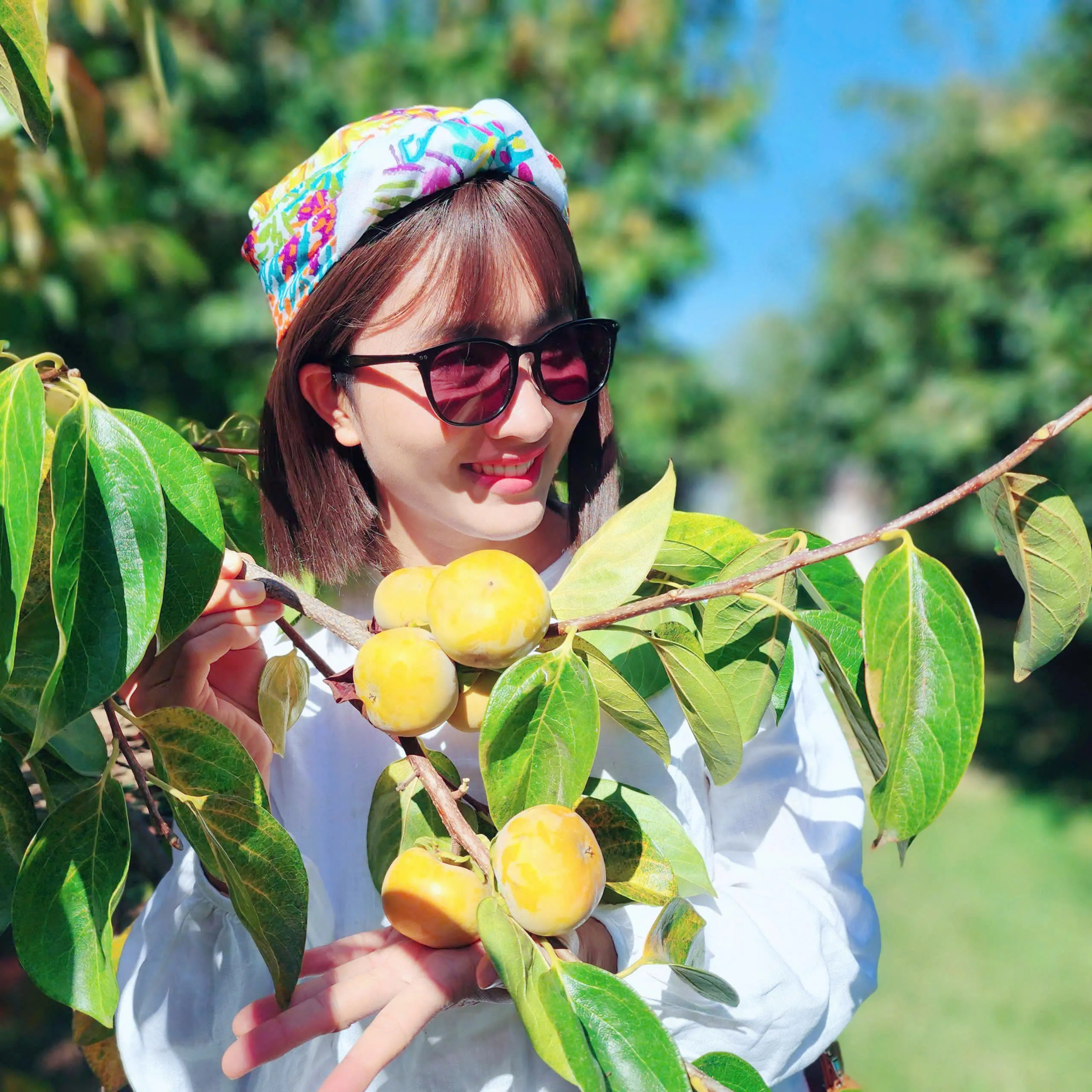 7c4b53c0fe434c1d155257-2560x2560.webp (450 KB)