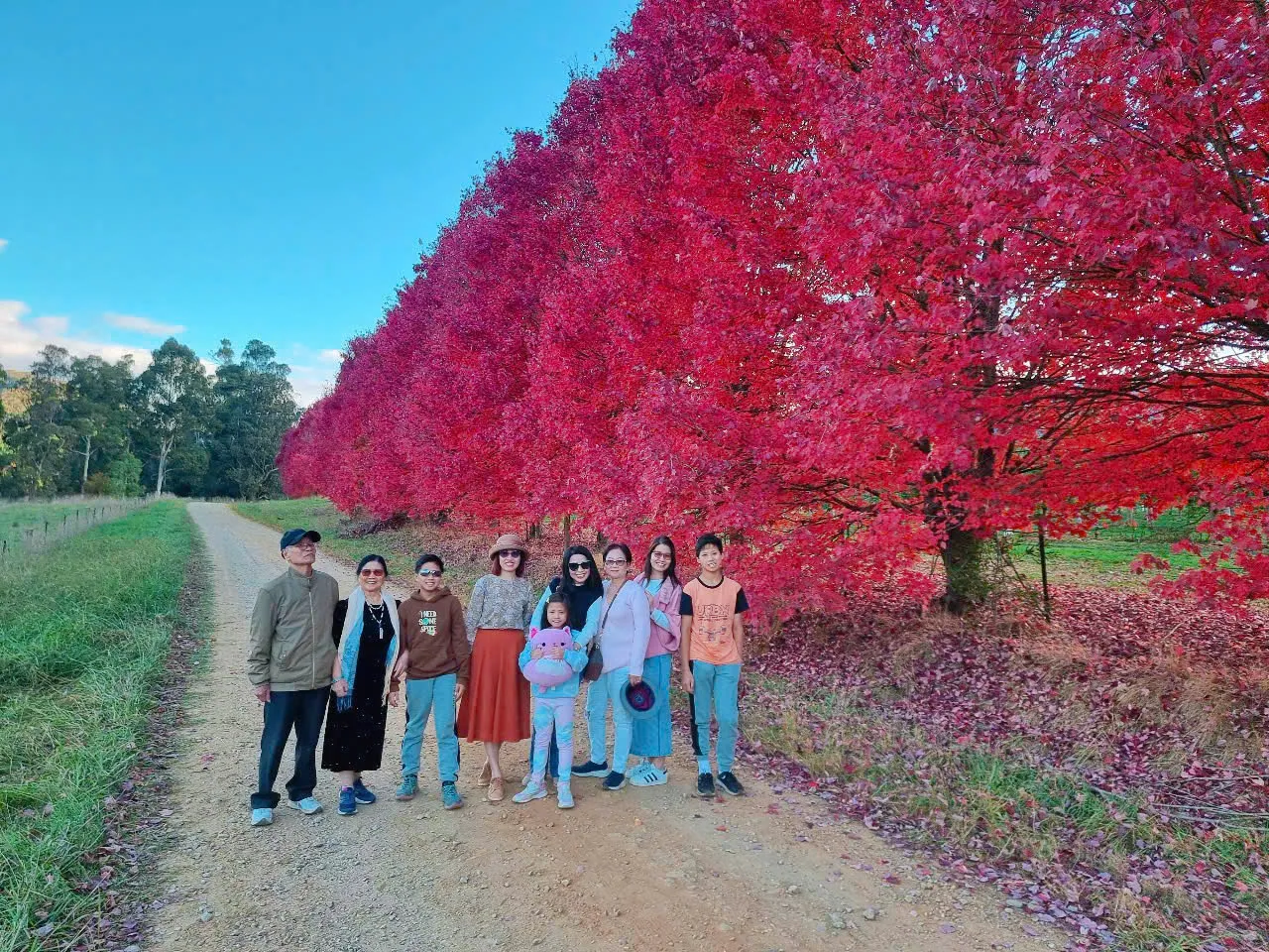 e7f54cd5b69c03c25a8d15-1280x960.webp (369 KB)