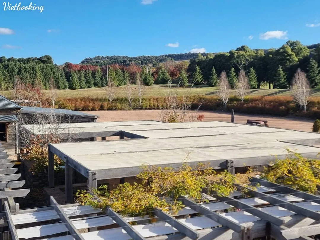 fa7a08d85e39ec67b52828-1080x810.webp (154 KB)