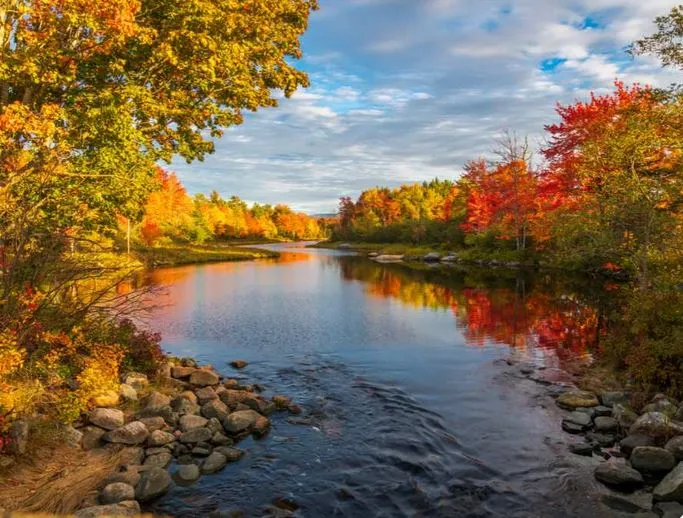 mua-thu-blue-mountains-2-683x518.webp (77 KB)