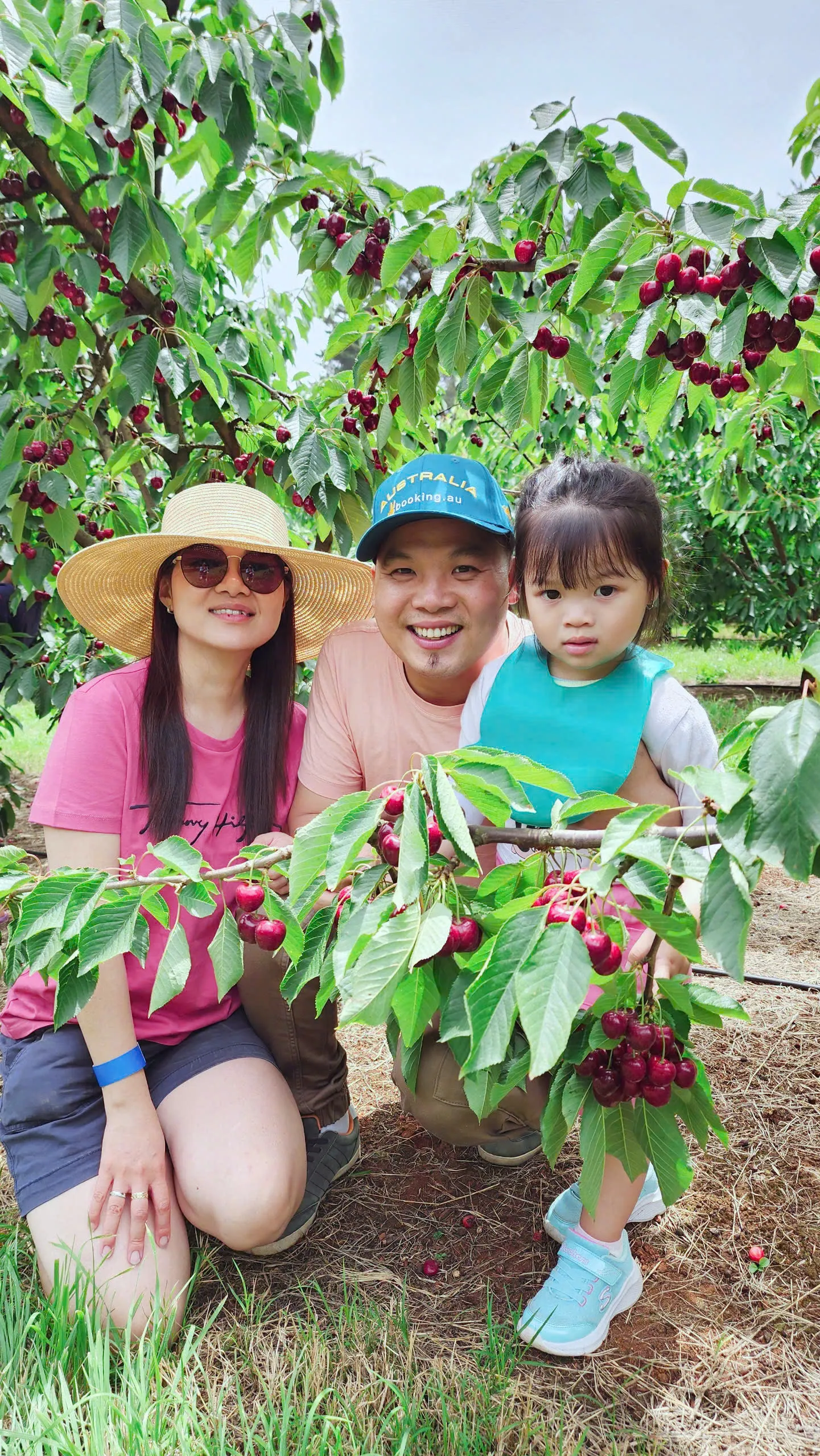 09ea96bdbfde02805bcf4-1441x2560.webp (774 KB)