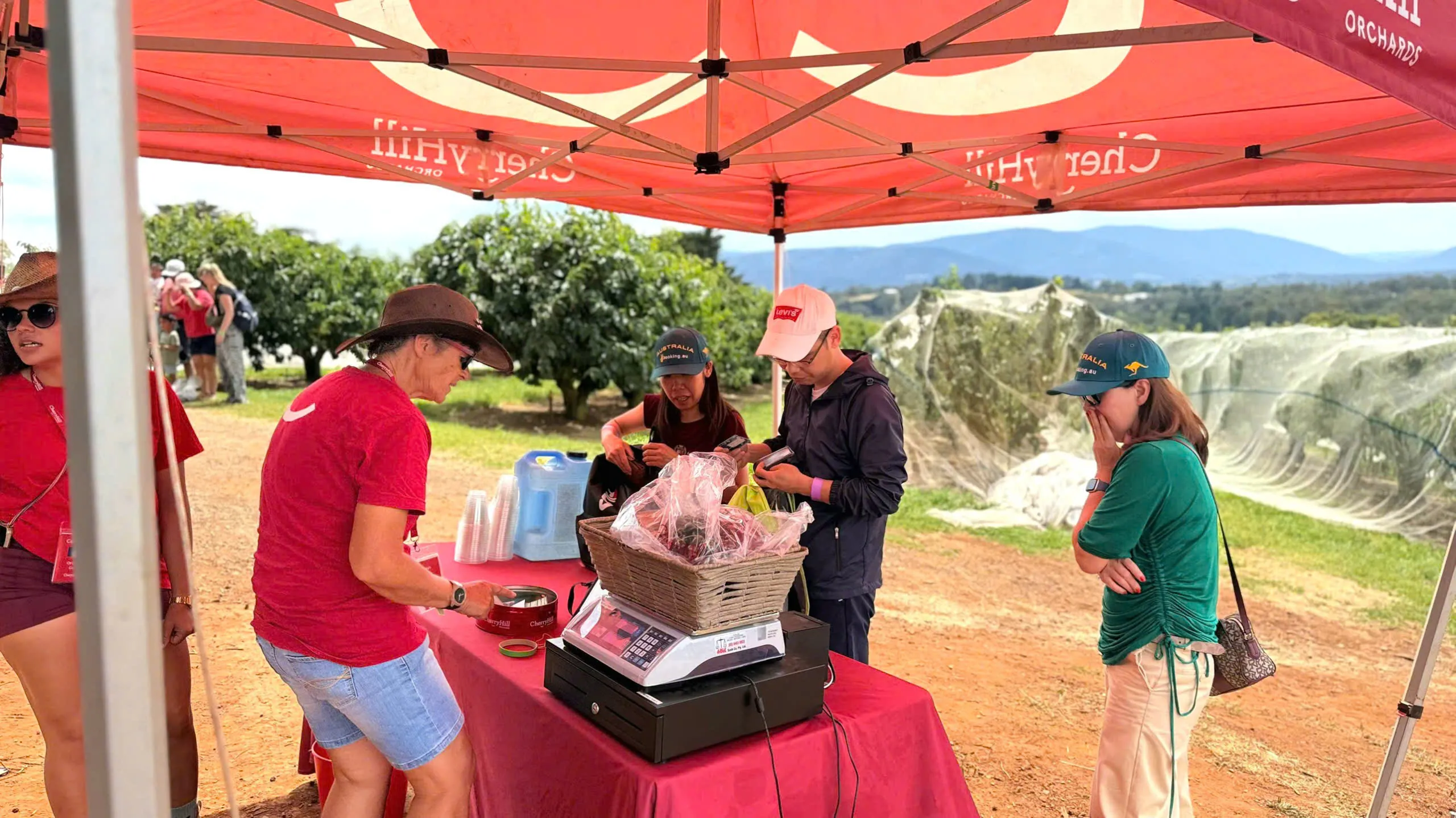 302698991e60913ec87110-2560x1439.webp (334 KB)