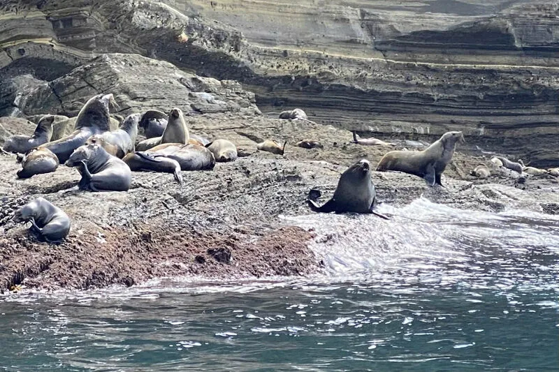 4bba20c1ff70702e296111-1769592905.webp (135 KB)