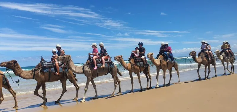 402293628_739114294925447_8783196083425955234_n-1770608432.webp (42 KB)