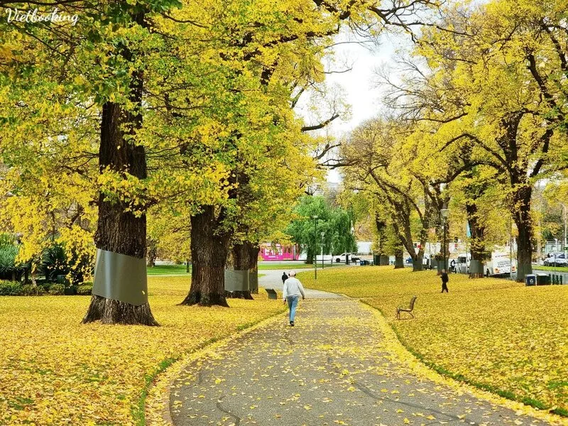 14afa8e07c61ce3f977027-1773111624.webp (214 KB)