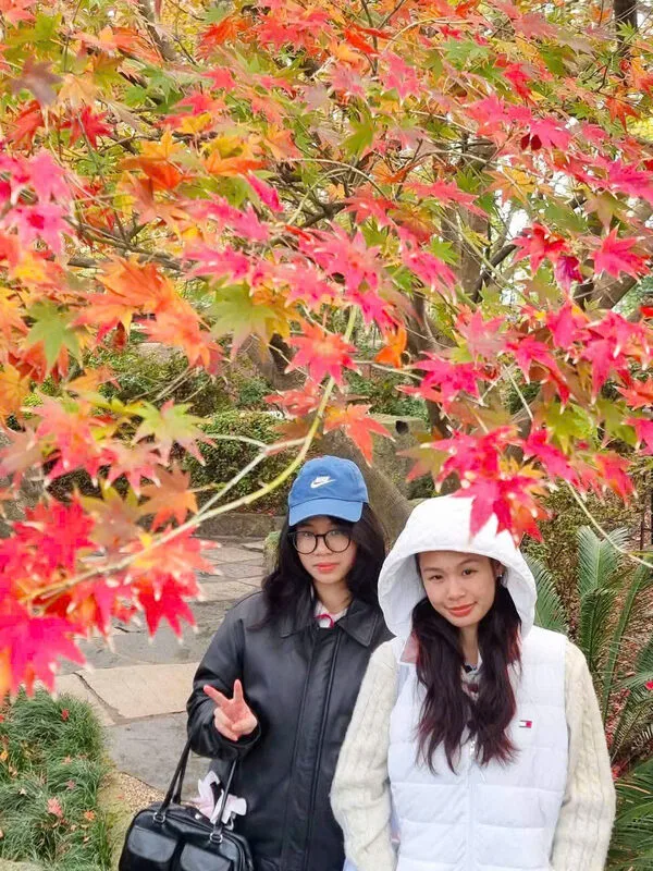 17f992a0fa624d3c147314-1773127316.webp (139 KB)