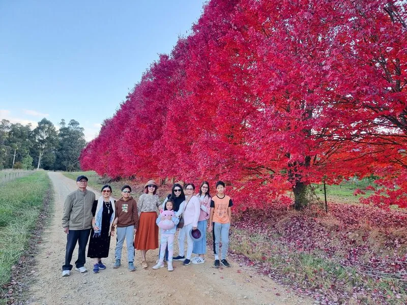 646697740_939592398433215_4903166681313887372_n-1773111974.webp (155 KB)