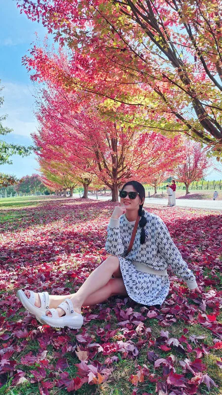 908446bc5075e32bba64-1773115309.webp (160 KB)