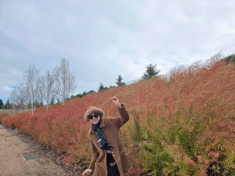 f58b61f333d3868ddfc248-1775017647.webp (89 KB)