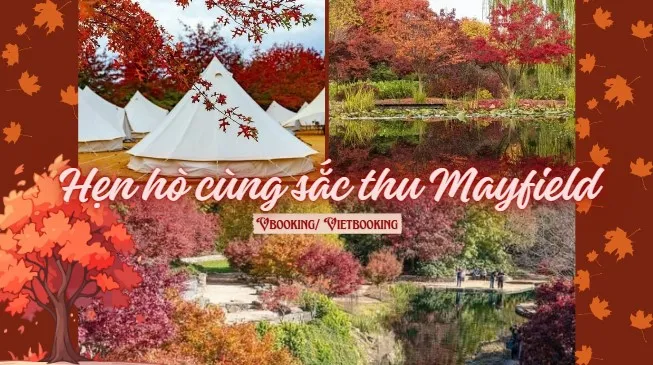 250513-144208-653x365.webp (67 KB)