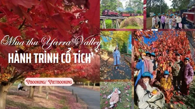 250522-170636-647x362.webp (66 KB)