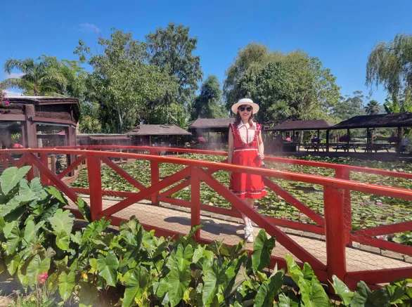 260122-161115-586x437.webp (68 KB)