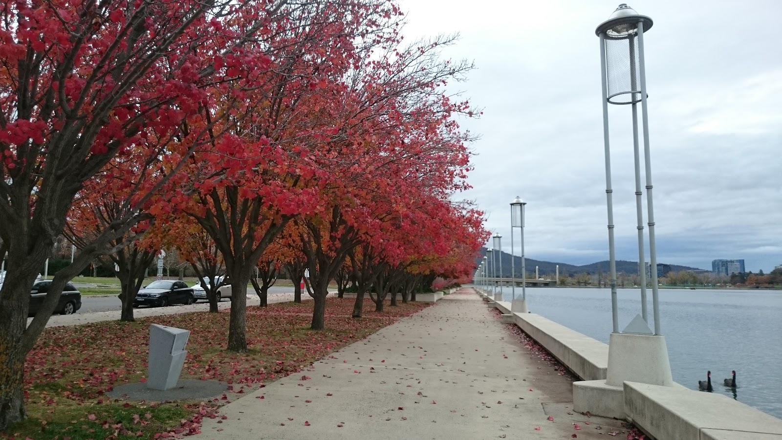 Canberra &ndash; Kh&uacute;c giao m&ugrave;a