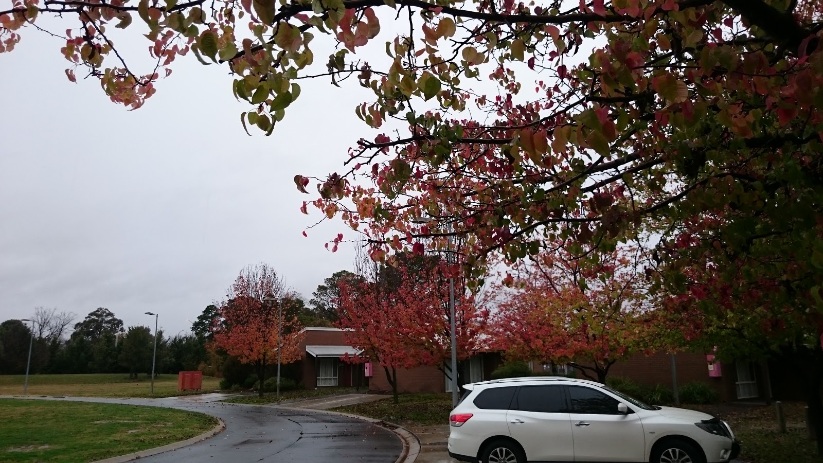 Canberra &ndash; Kh&uacute;c giao m&ugrave;a