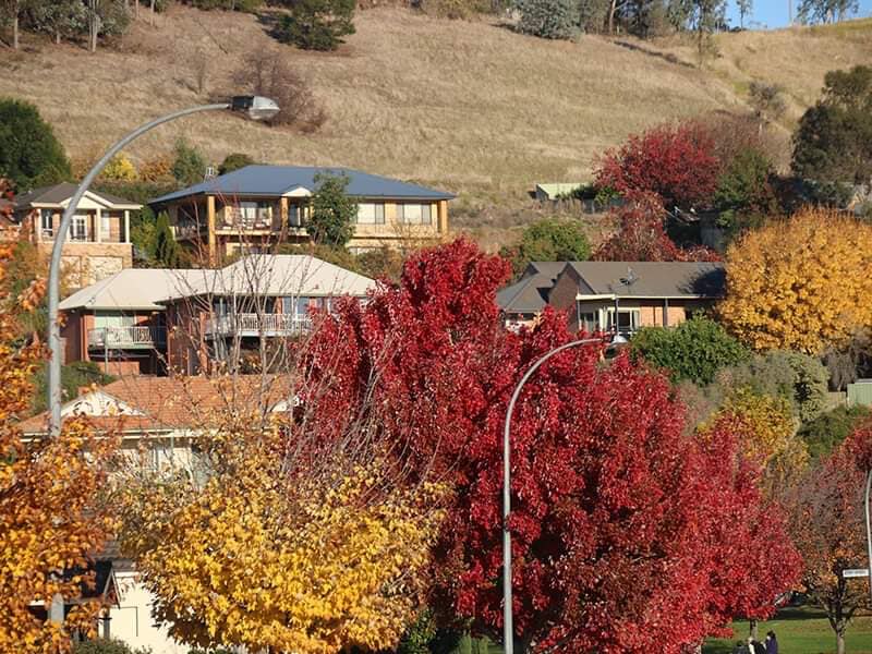 Albury v&agrave; Wodonga 2 th&agrave;nh phố song sinh