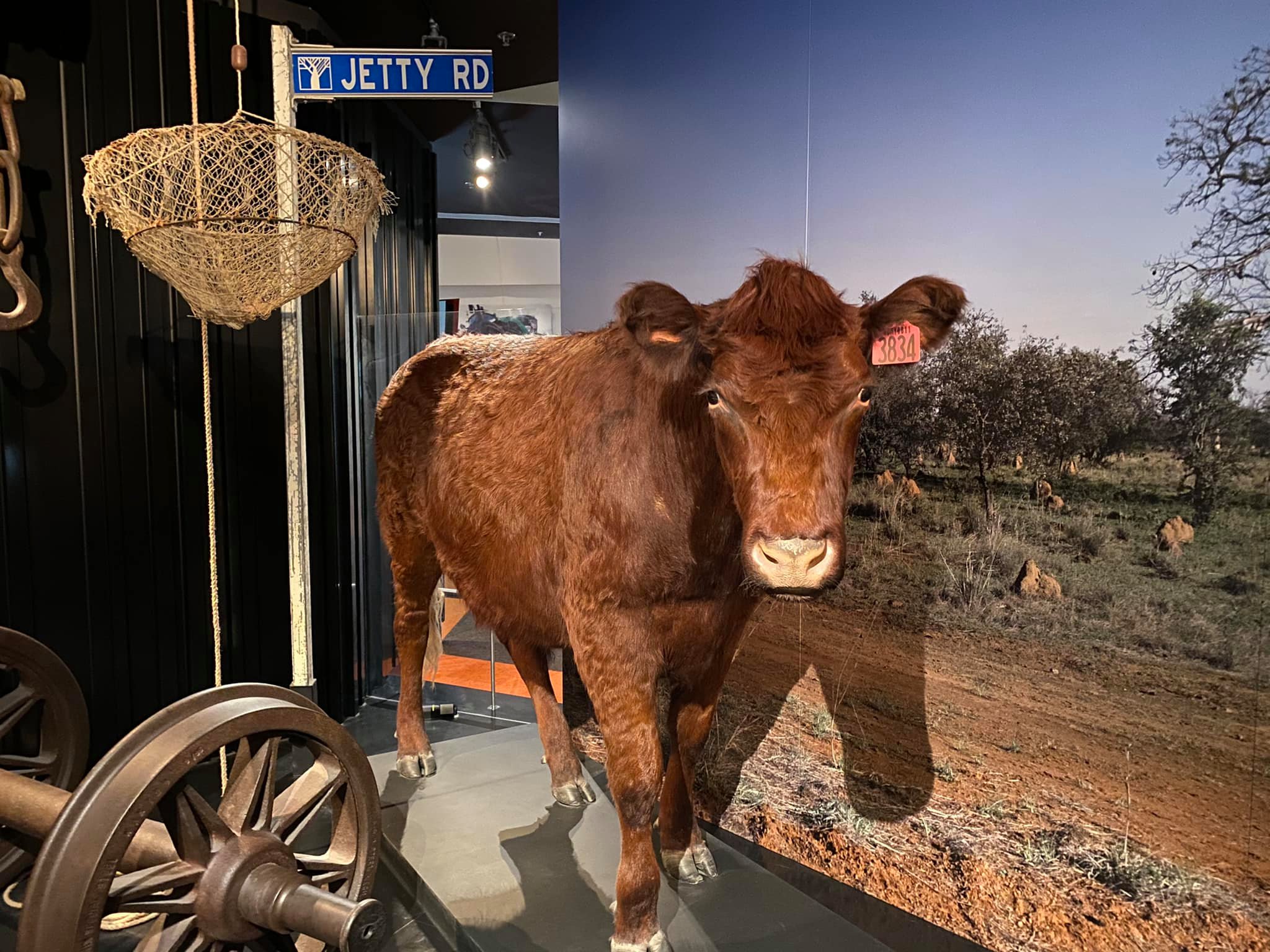 Bảo tàng quốc gia Úc