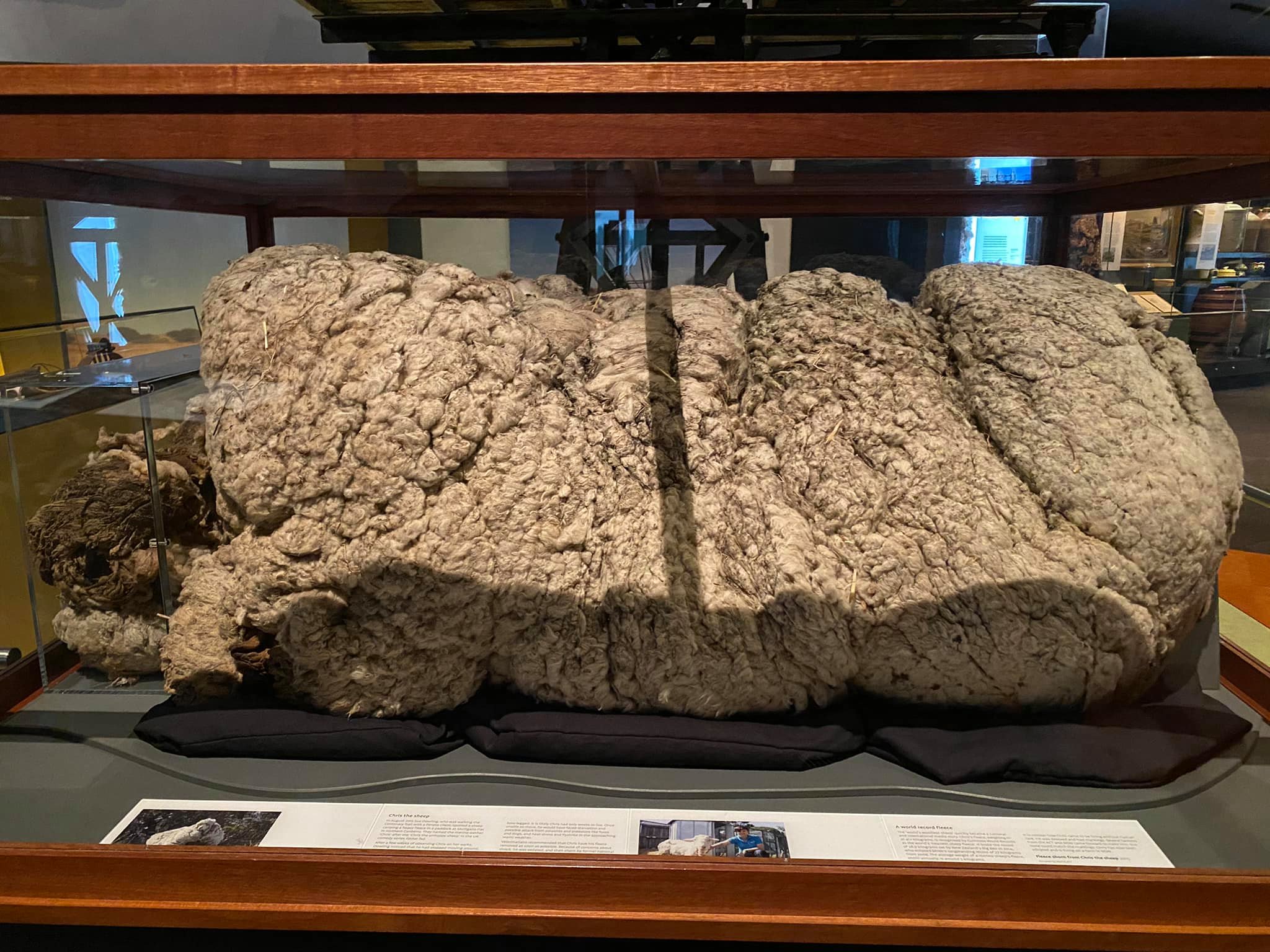 Bảo tàng quốc gia Úc