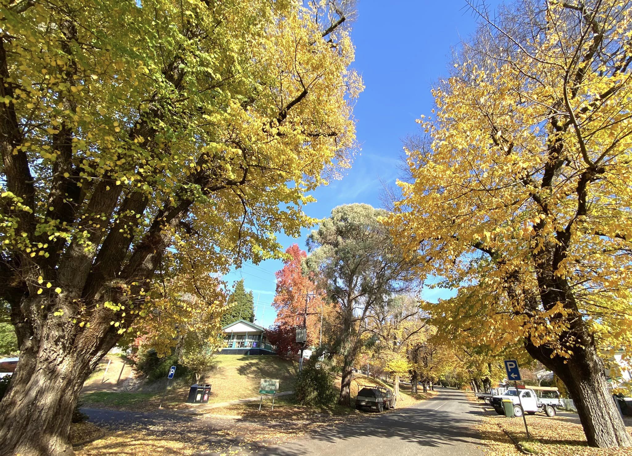 Bright m&ugrave;a thu