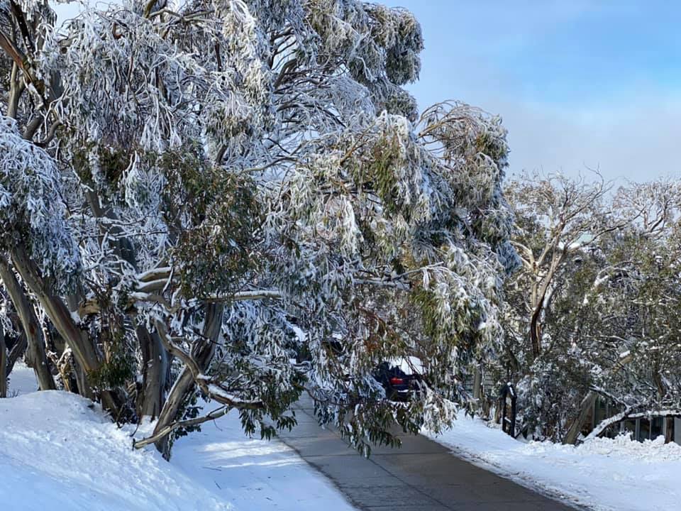 Thị trấn tuyết phủ ở Buller Mountain