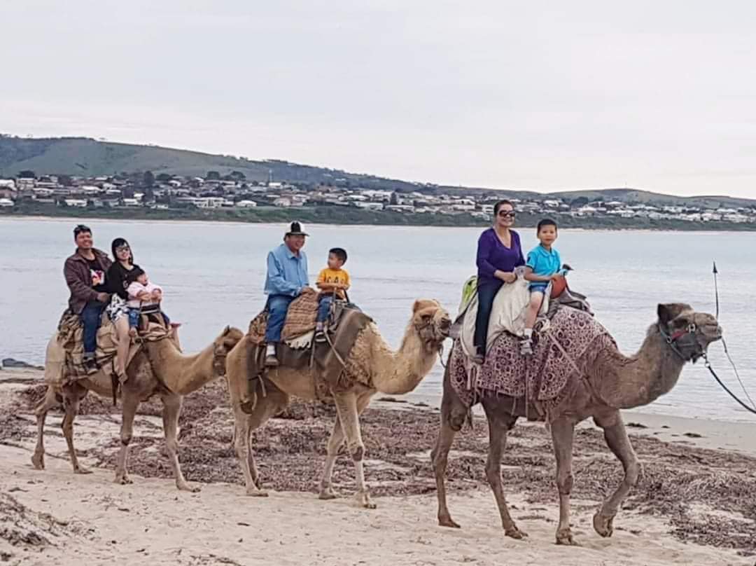 Kh&aacute;m Ph&aacute; Adelaide phần 2