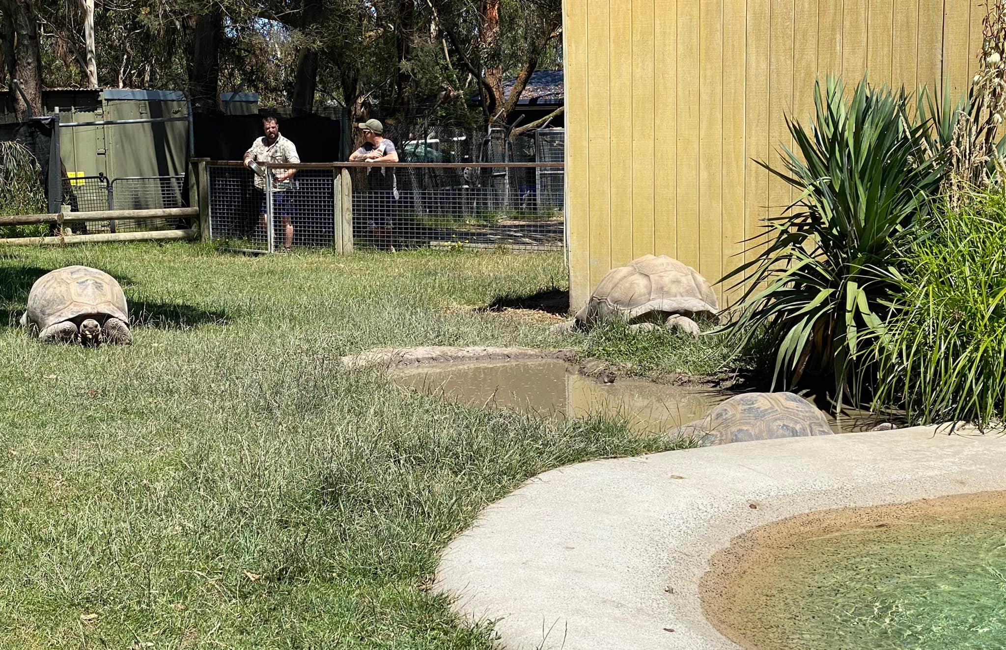 Vườn th&uacute; hoang d&atilde; Ballarat
