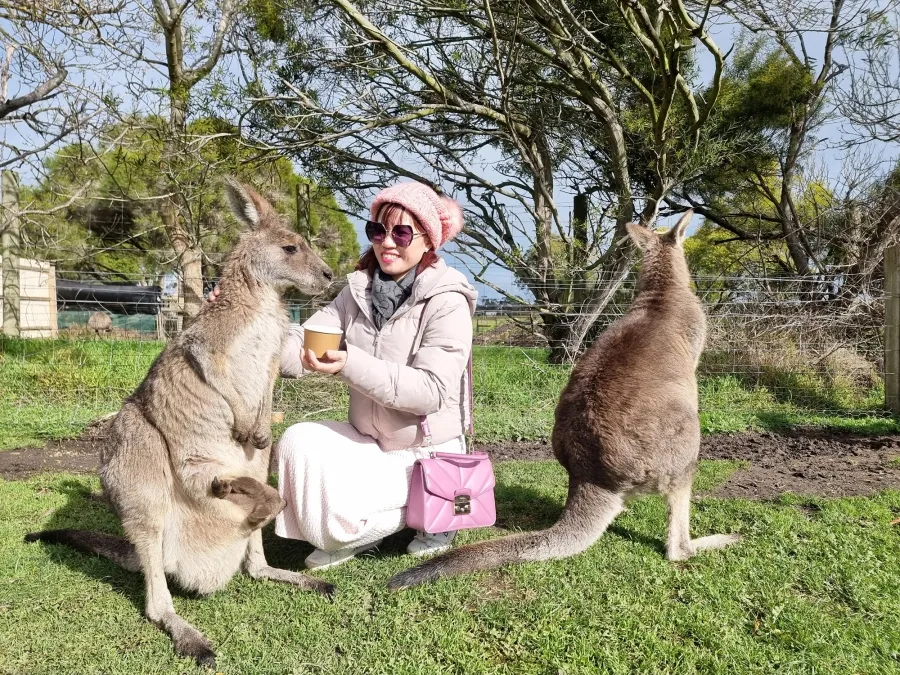 item image 230 album của tour Phillip Island VIP tour