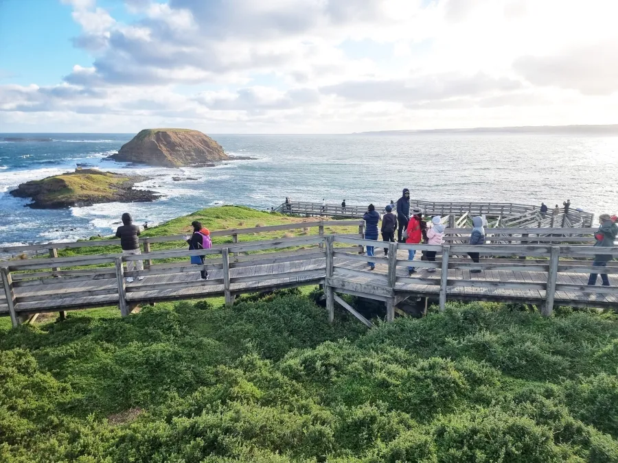 item image 232 album của tour Phillip Island VIP tour