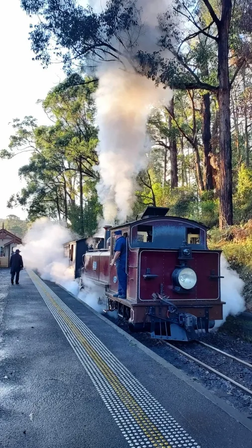 item image 253 album của tour Nông trang Yarra valley và tàu cổ Puffing Billing