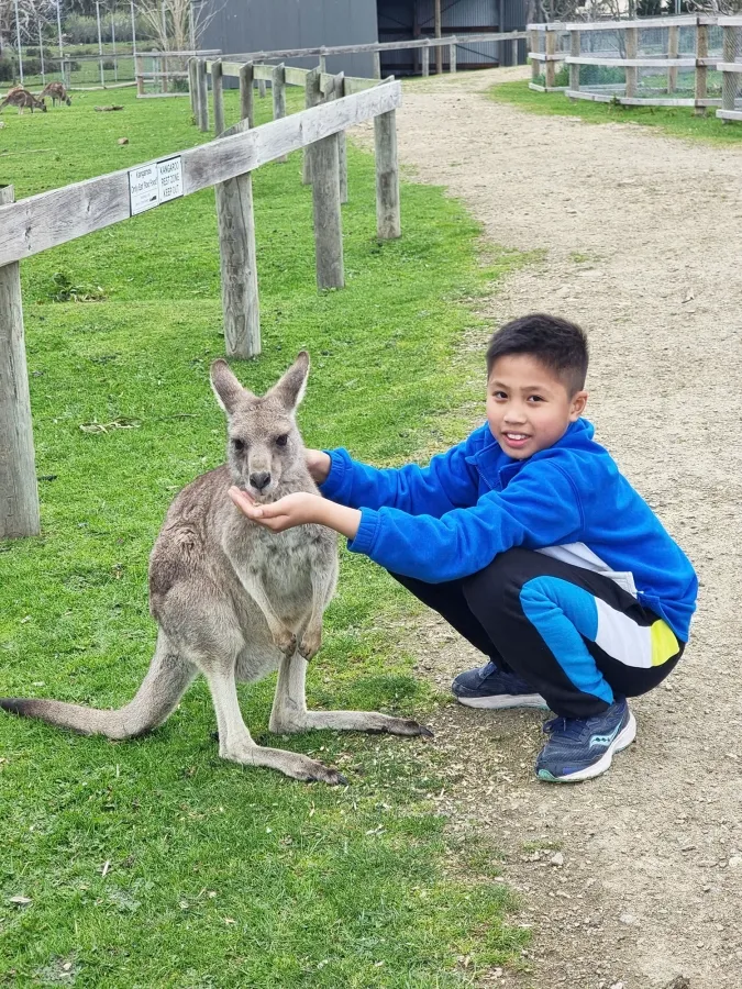 item image 405 album của tour Du ngoạn Vịnh Port Phillip - Ngắm cá heo