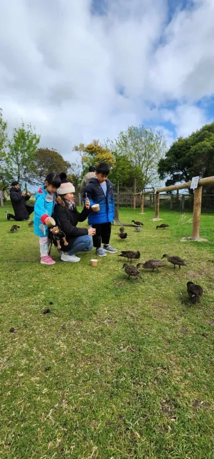 item image 462 album của tour Phillip Island VIP tour