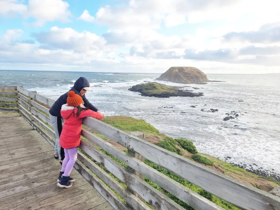 item image 494 album của tour Đảo Phillip - chim cánh cụt - Hải cẩu