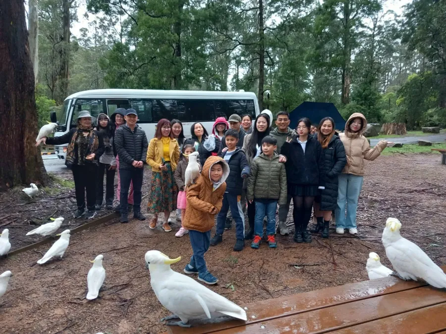 item image 458 album của tour Nông trang Yarra valley và tàu cổ Puffing Billing