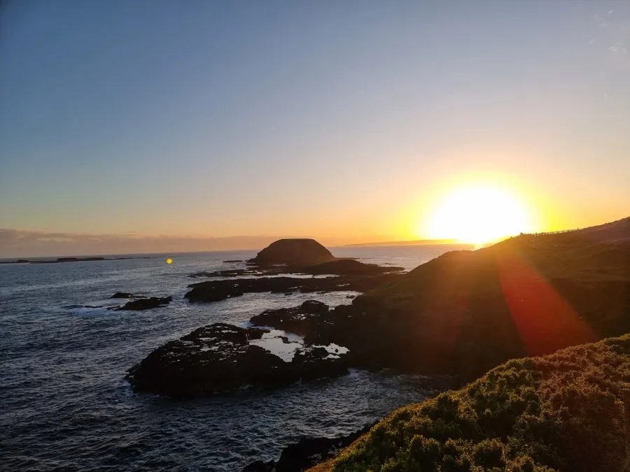 item image 497 album của tour Đảo Phillip - chim cánh cụt - Hải cẩu